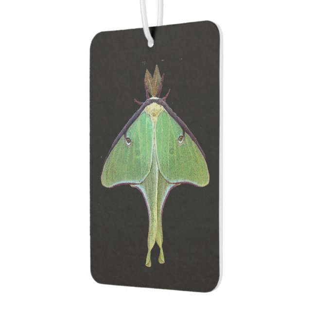 Luna Moth Air Freshener (Left)