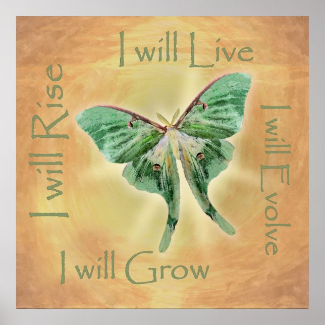 Luna Moth Artistic Motivational Poster Print (Front)
