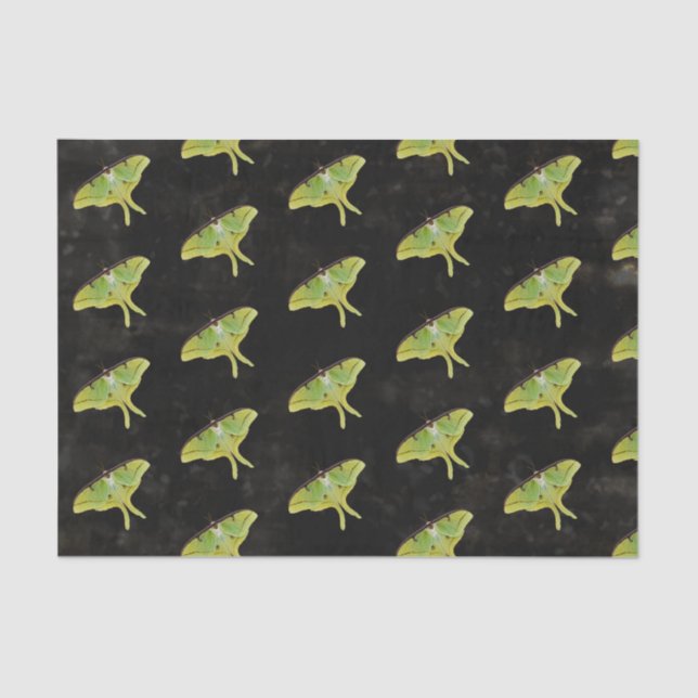 Luna Moth Artwork in Vibrant Colour Tissue Paper (Front)