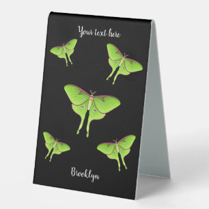 Luna Moth cartoon illustration