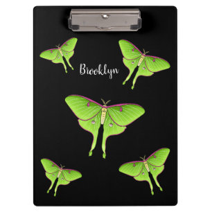 Luna Moth cartoon illustration Clipboard