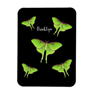 Luna Moth cartoon illustration  Magnet