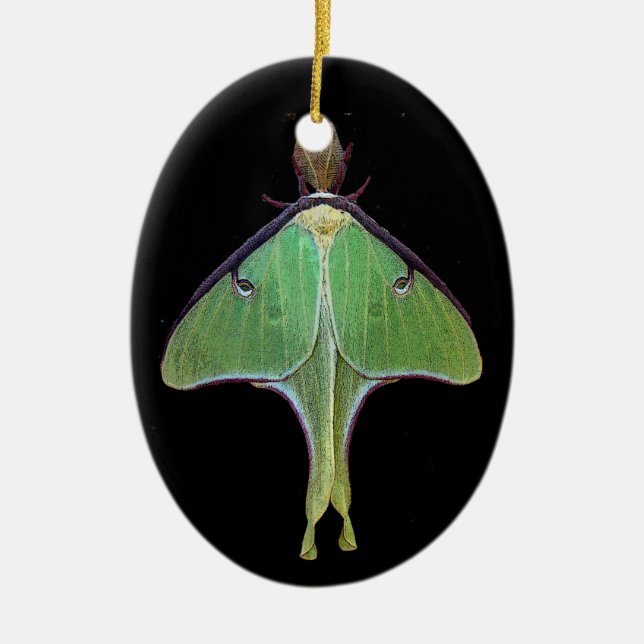 Luna Moth Ceramic Tree Decoration (Front)