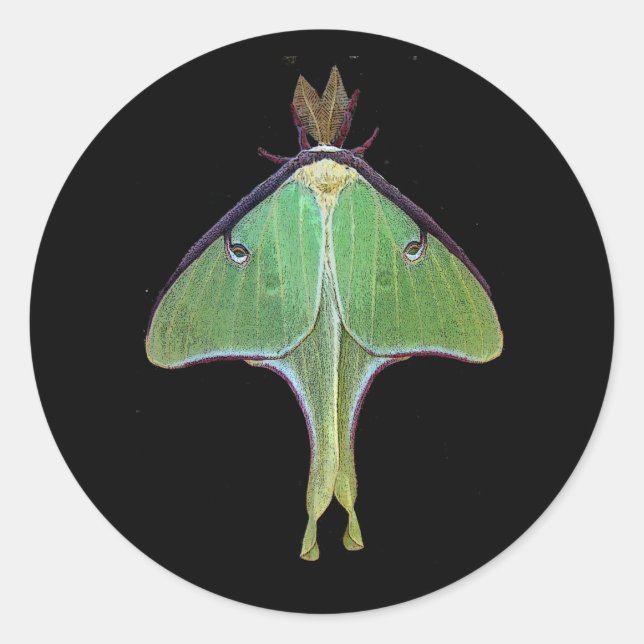 Luna Moth Classic Round Sticker (Front)