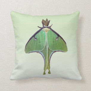 Luna Moth Cushion