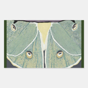 Luna Moth Digital Painting Accent Pillow Rectangular Sticker