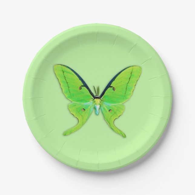 Luna moth - lime green on a pale green background paper plate (Front)