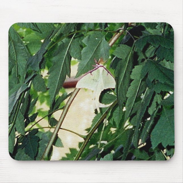 Luna Moth Mouse Pad (Front)
