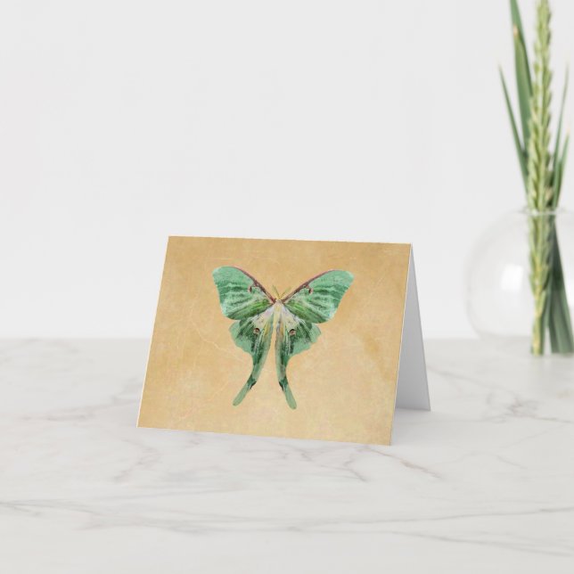 Luna Moth Note Card (Front)