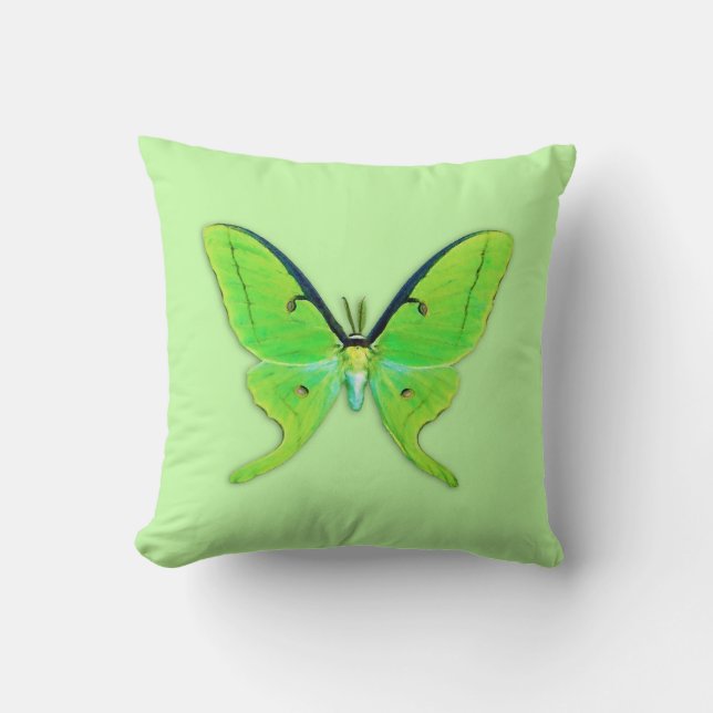 Luna moth on a pale green background cushion (Front)
