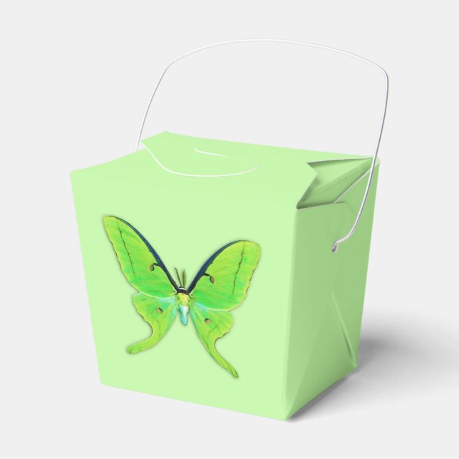 Luna moth on a pale green background favour box (Front Side)