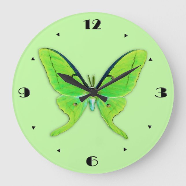 Luna moth on a pale green background large clock (Front)