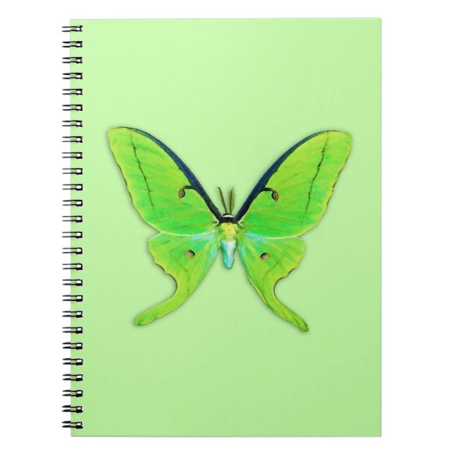 Luna moth on a pale green background notebook (Front)