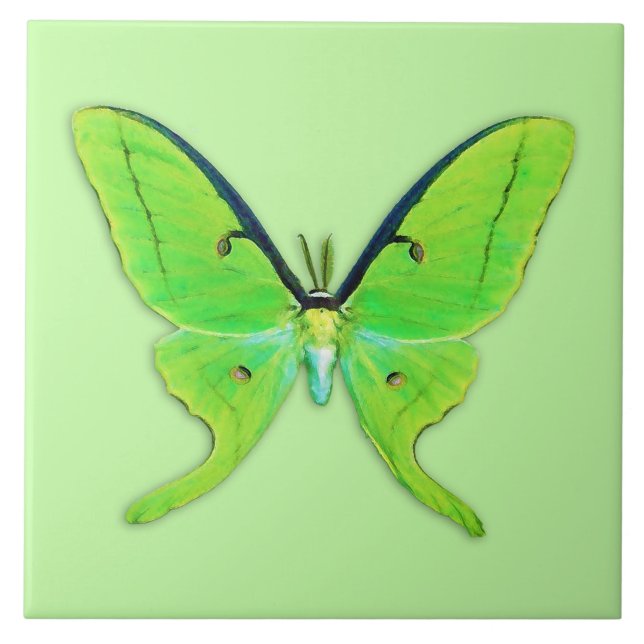 Luna moth on a pale green background tile (Front)