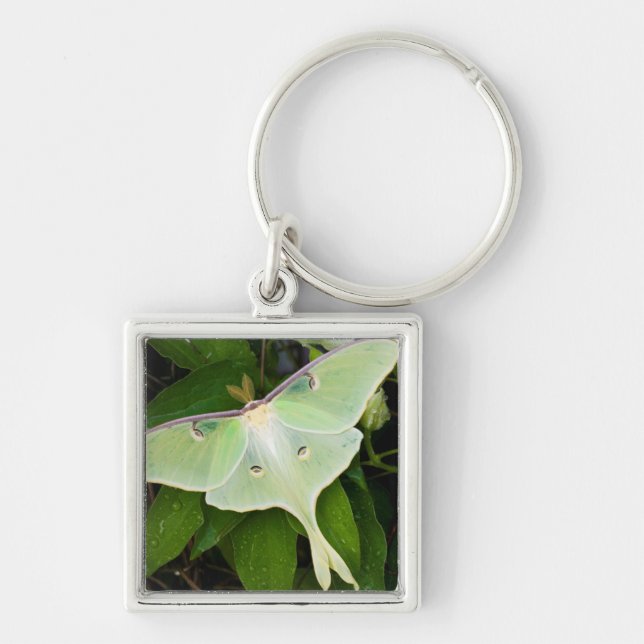 Luna Moth on Carnaby Clematis Key Ring (Front)