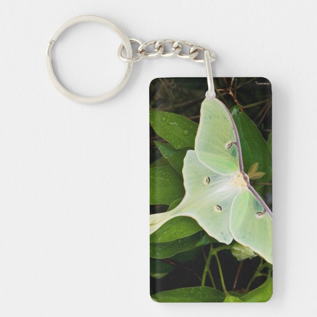 Luna Moth on Carnaby Clematis Key Ring (Front)