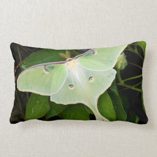 Luna Moth on Carnaby Clematis Lumbar Cushion