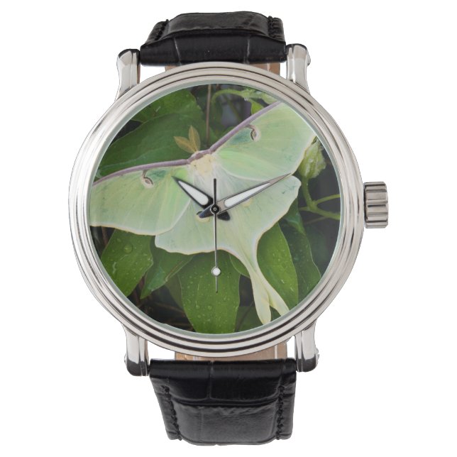 Luna Moth on Carnaby Clematis Watch (Front)
