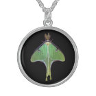 Luna Moth