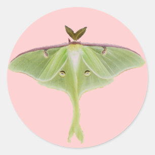 Luna Moth Stickers