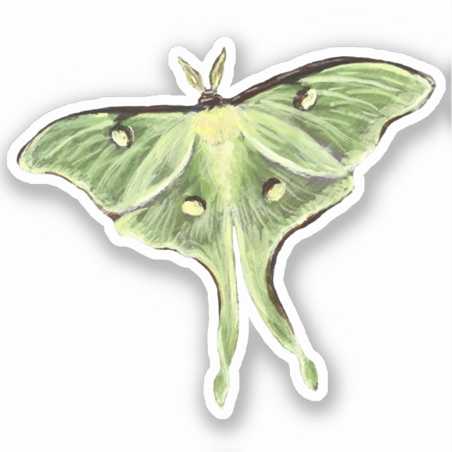 Luna Moth Vinyl Sticker (Front)