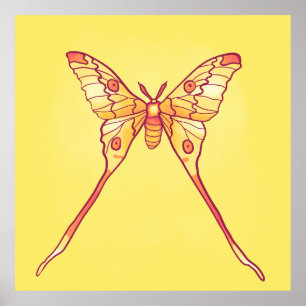 Luna Moth Yellow Orange Witchy Magical Insect Poster