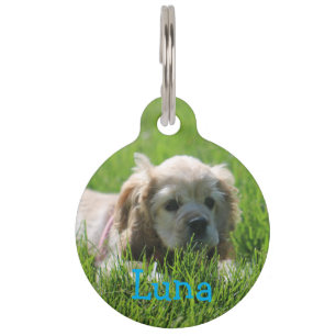 Luna Pet Tag