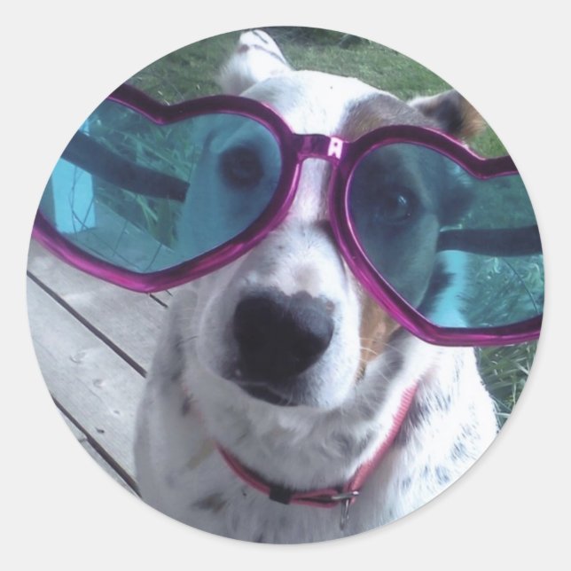 Luna Says "Bad Hair Day? Get bigger glasses" Classic Round Sticker (Front)