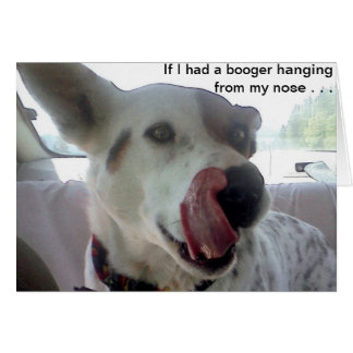 Luna Says If I Had A Booger Hanging From My Nose?