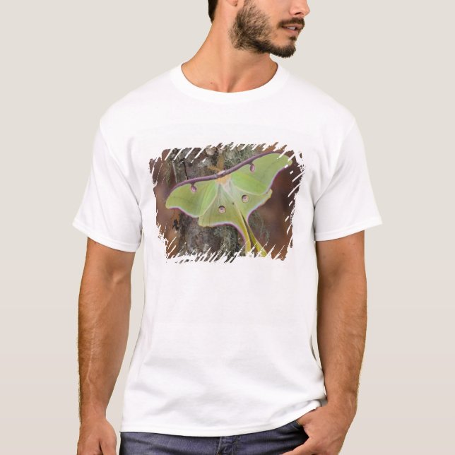 Luna Silk Moth T-Shirt (Front)