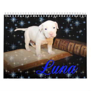 Luna the Saved Abandoned Puppy Dog Calendar