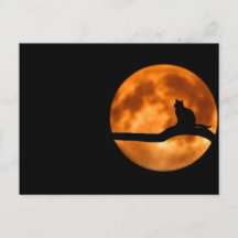 Lunar cat - Postcard