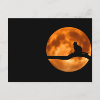 Lunar cat - Postcard