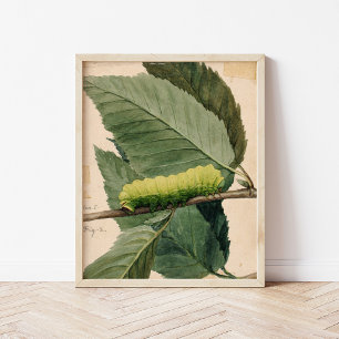 Lunar Caterpillar Abbott Handerson Thayer Poster