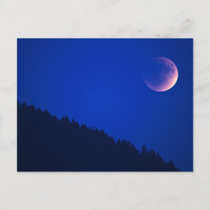 Lunar Eclipse Over Forest   Zug, Switzerland Postcard