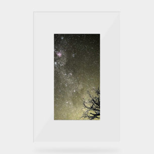 Lunar escapes Portrait by Chrome Kitten Acrylic Sign