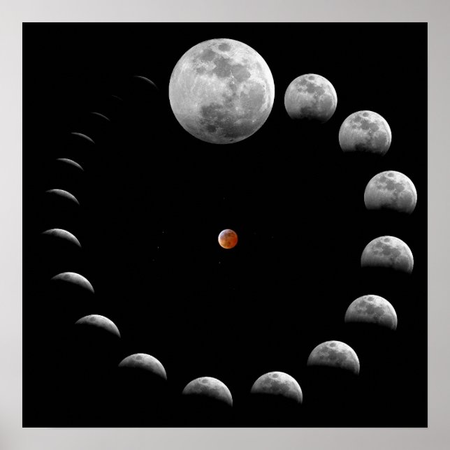 Lunar Moon Phases Poster (Front)
