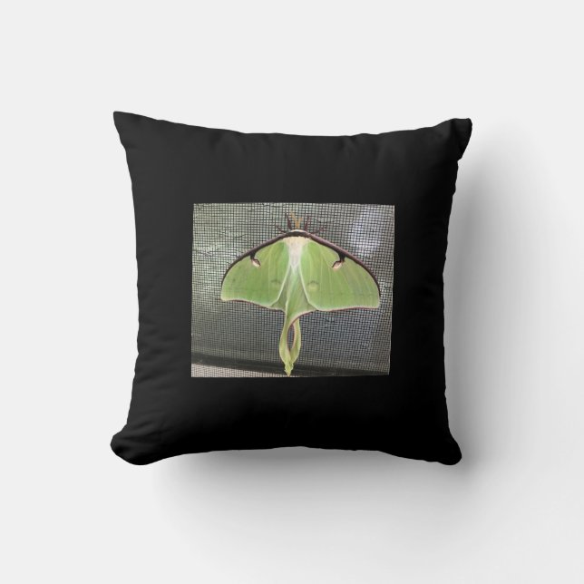Lunar Moth  Cushion (Front)