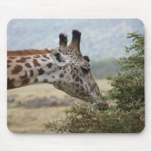 Lunch at the Acacia Tree - Mousepad