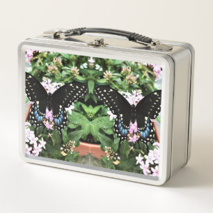 Lunch Box - Eastern Black Swallowtail