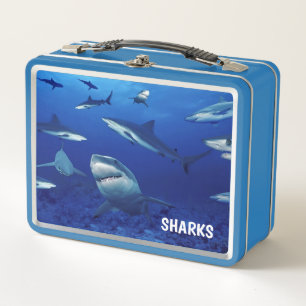 Lunch Box-Sharks Metal Lunch Box