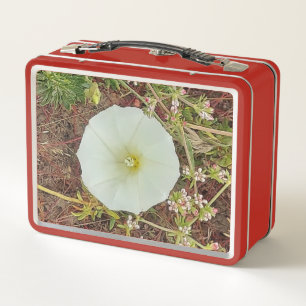 Lunch Box with greeting and picture