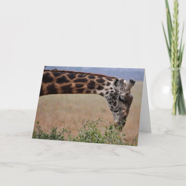 Lunch for One Card (Front)