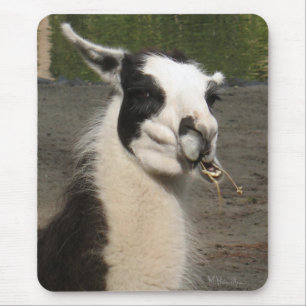 Lunching Llama Mouse Pad