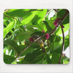 Lunchtime at the Tree Mouse Pad