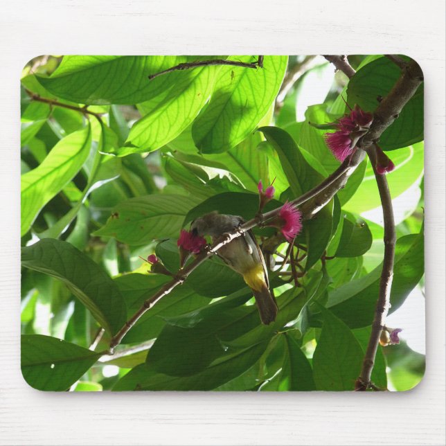 Lunchtime at the Tree Mouse Pad (Front)