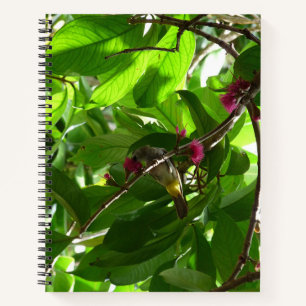 Lunchtime at the Tree Notebook