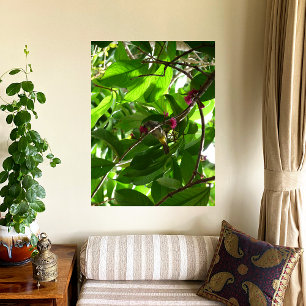 Lunchtime at the Tree Poster