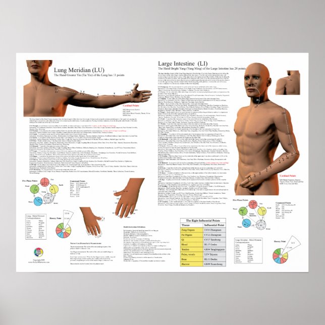 Lung Meridian Acupuncture Points Poster (Front)