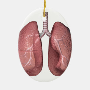 lungs ceramic ornament